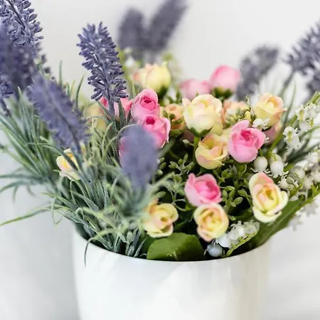 Διαμέρισμα Oleander Σπλιτ